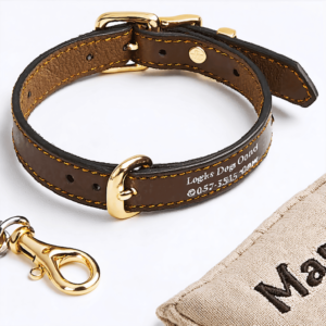 a customized collar