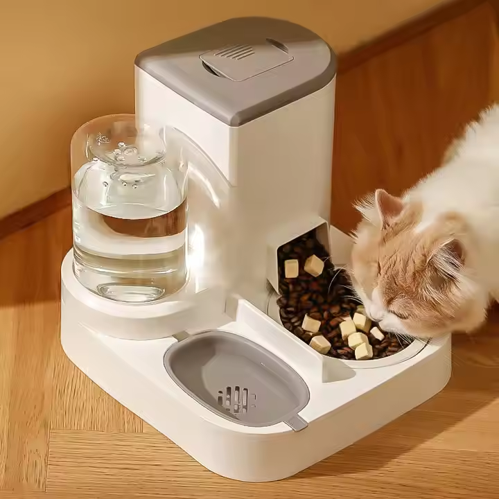 a cat feeder