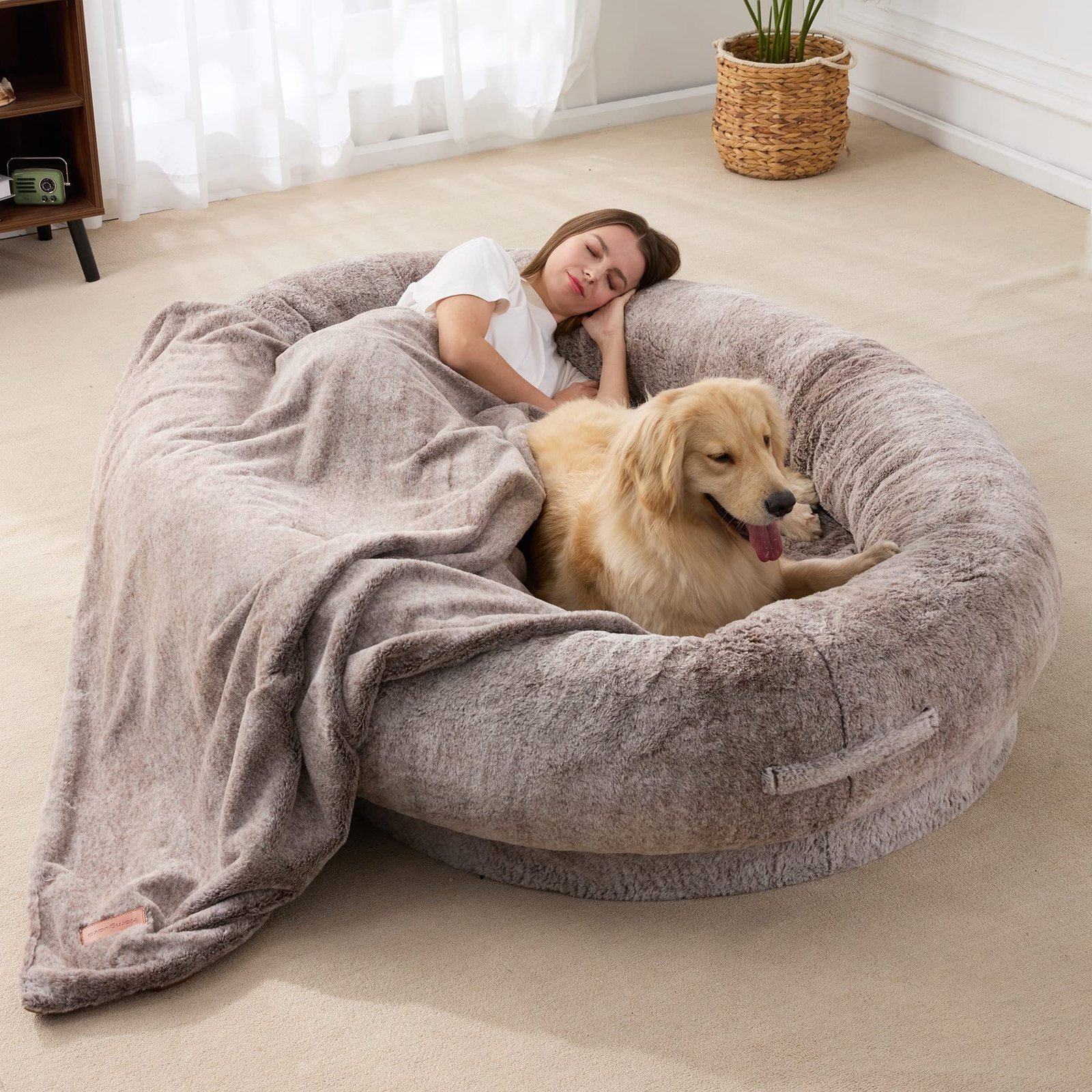 a pet bed