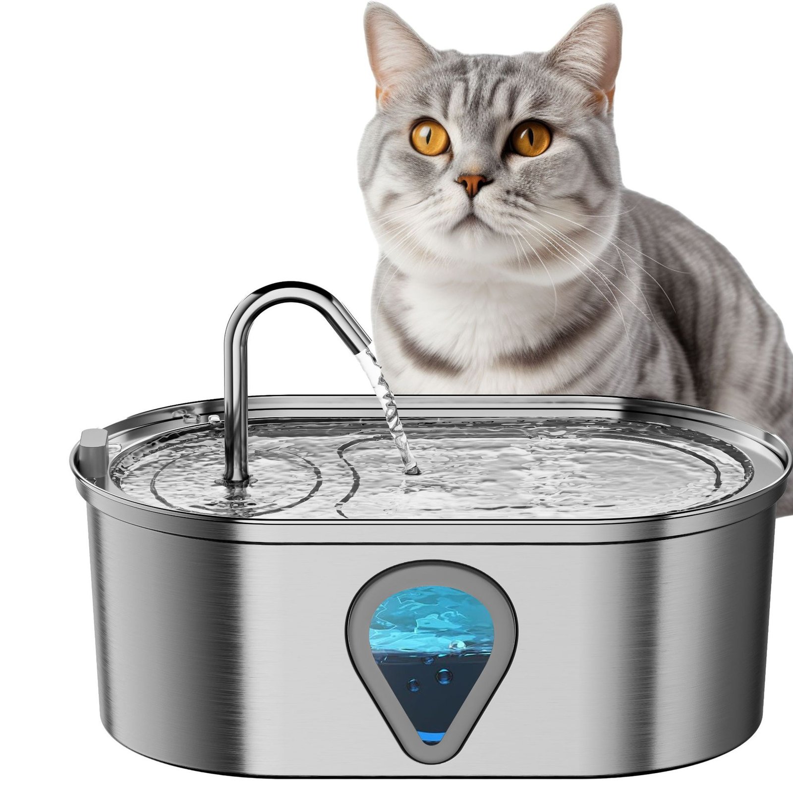 pet water fountain