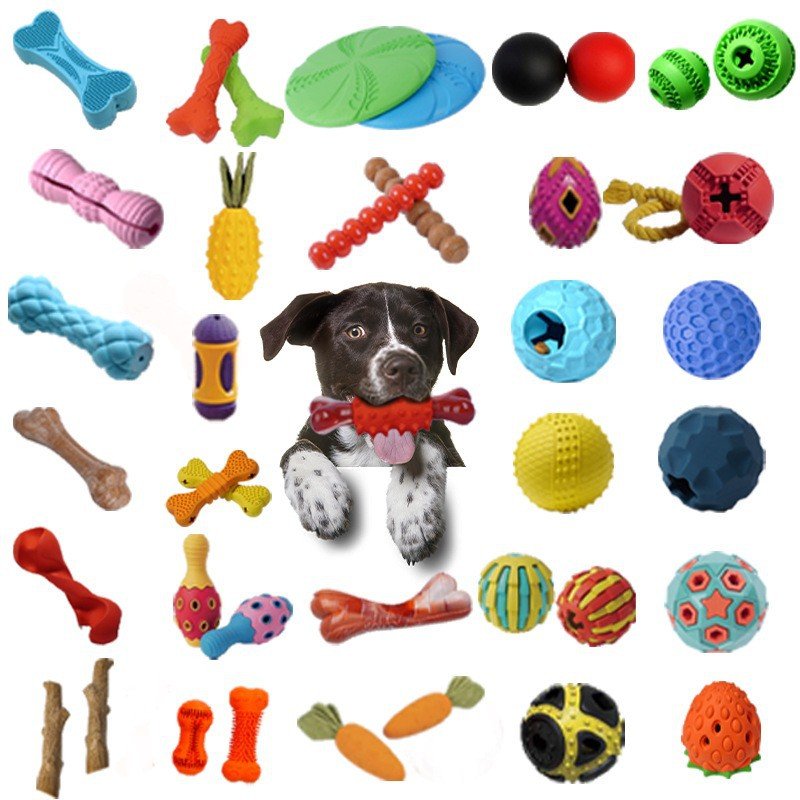 pet toys