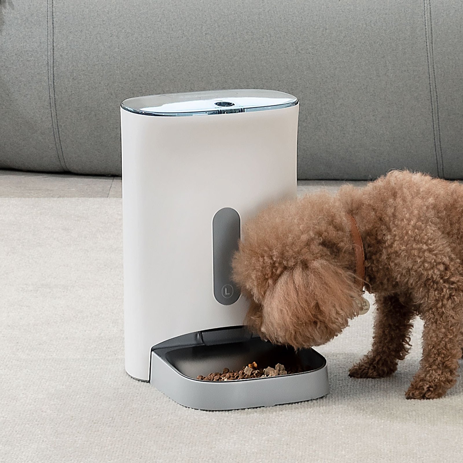 a dog and a pet feeder