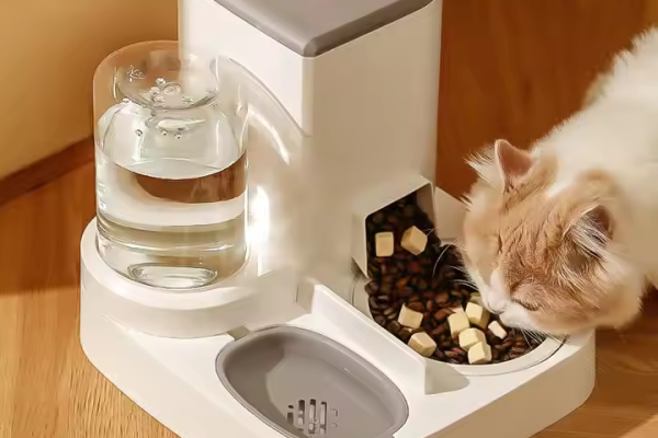 a cat feeder